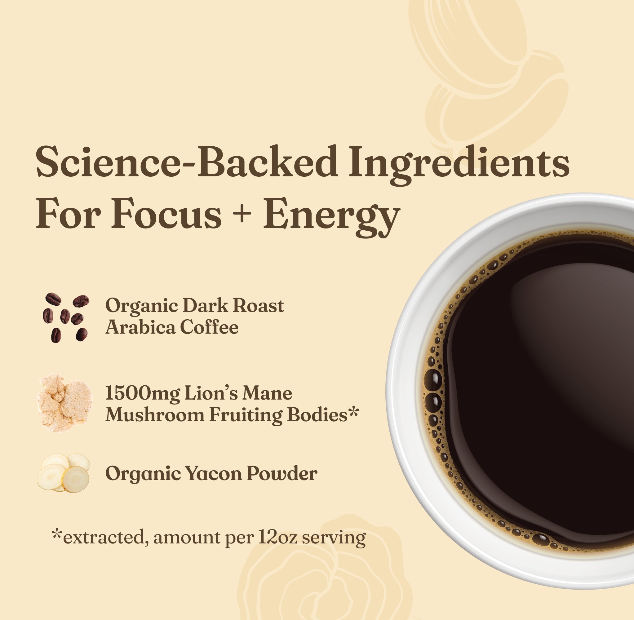 Focus Whole Bean Coffee - Dark (20oz) - Dark Roast Organic Mushroom Coffee Beans
